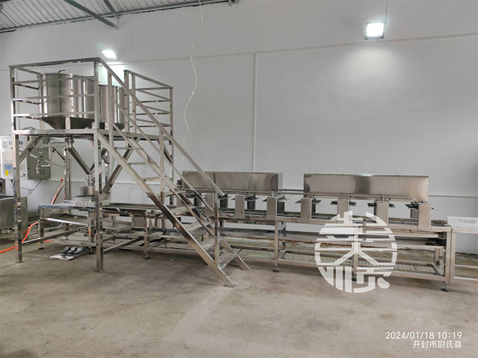 河南步進式豆腐生產線安裝調試現(xiàn)場