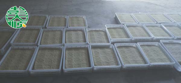 許昌長(zhǎng)葛客戶(hù)做出的豆腐成品展示