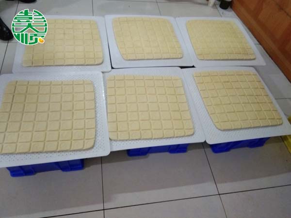 陜西商洛客戶用彭大順設備做出的豆制品產(chǎn)品